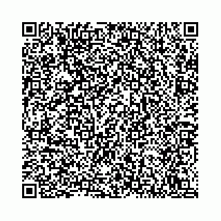 vCard 78792295234
