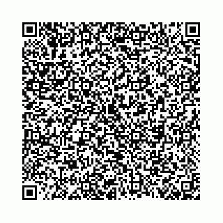 vCard 78792295239
