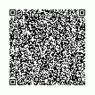vCard 78792295241