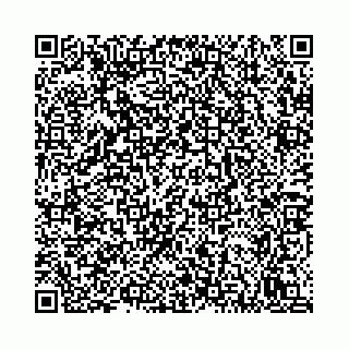 vCard 78792295293