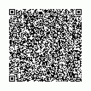 vCard 78792295294