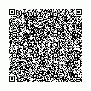 vCard 78792295296