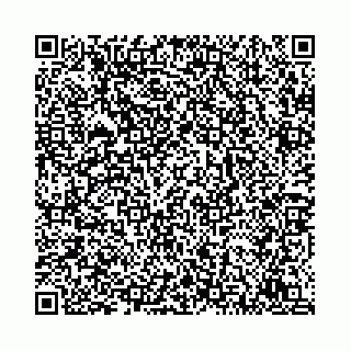 vCard 78792295299