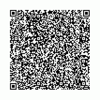 vCard 78792295315