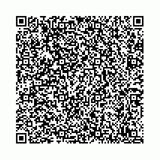 vCard 78792295331