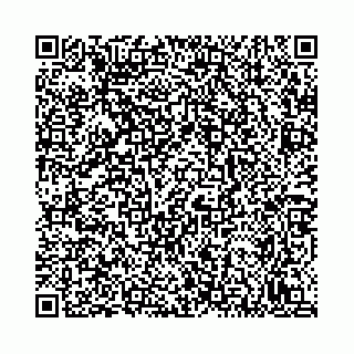 vCard 78792295333