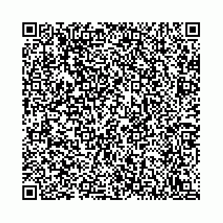 vCard 78792295334