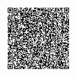 vCard 78792295343