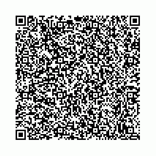 vCard 78792295363