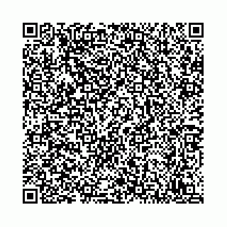 vCard 78792295381