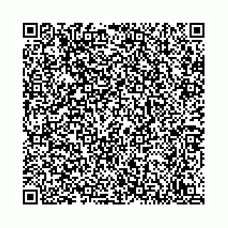 vCard 78792295385