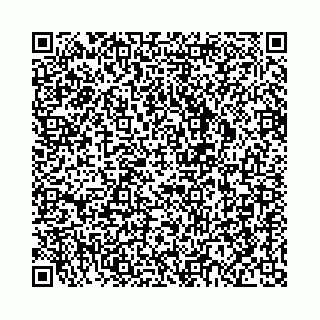vCard 78792295386