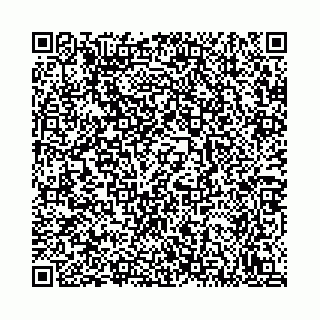 vCard 78792295387