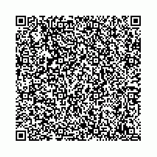 vCard 78792295389