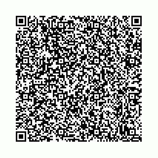 vCard 78792295393