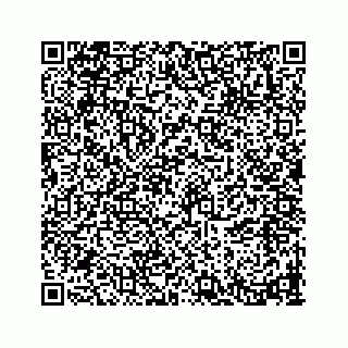 vCard 78793226304