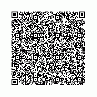 vCard 78793258000
