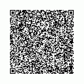 vCard 78793258013