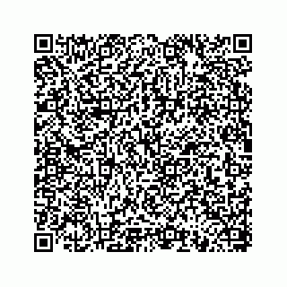 vCard 78793258026