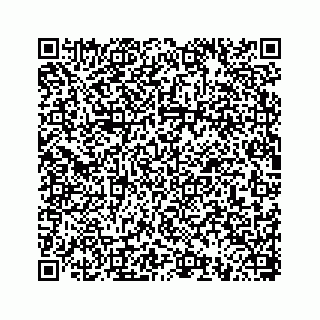vCard 78793258031