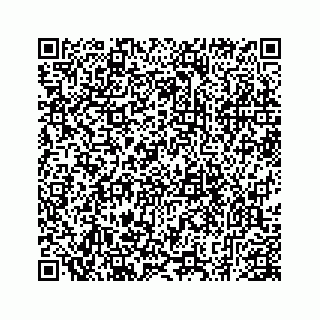 vCard 78793258033