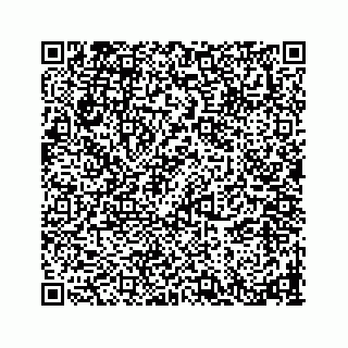 vCard 78793258063