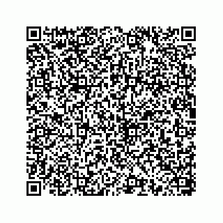 vCard 78793258089