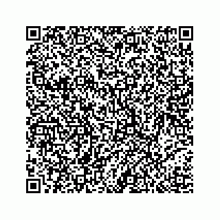 vCard 78793258100
