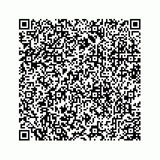 vCard 78793258102