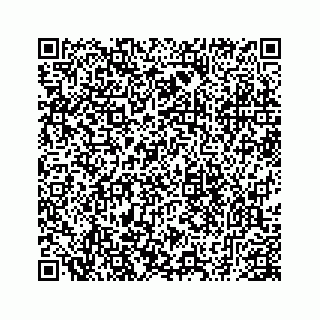 vCard 78793258111