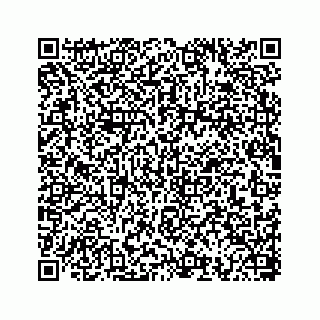 vCard 78793258113