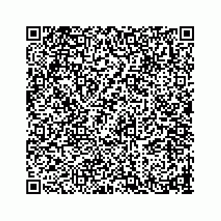 vCard 78793258121
