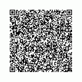 vCard 78793258131