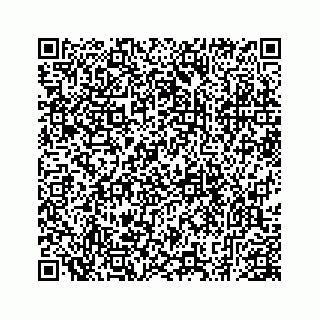vCard 78793258133