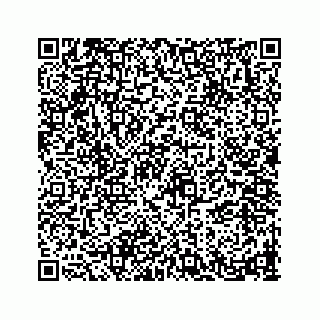 vCard 78793258138