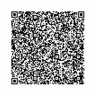 vCard 78793258140