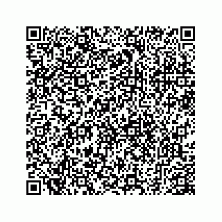 vCard 78793258153