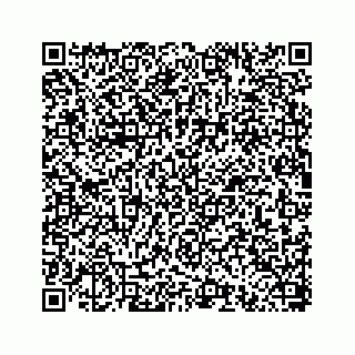 vCard 78793258156