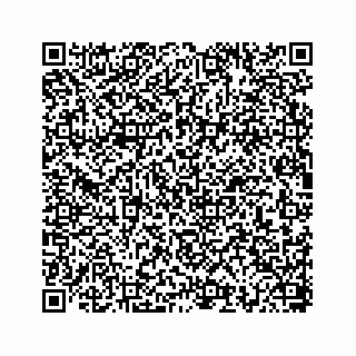 vCard 78793258180