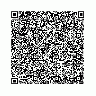 vCard 78793258187