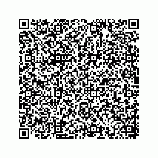 vCard 78793258204