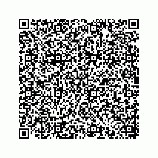 vCard 78793258206