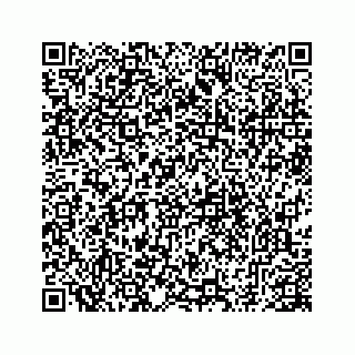vCard 78793258208