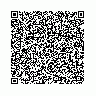 vCard 78793258209