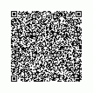 vCard 78793258211