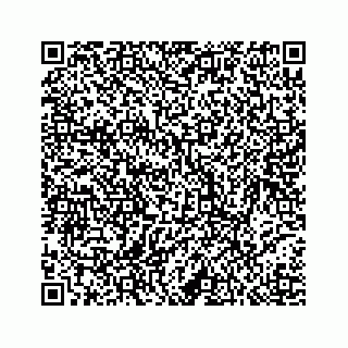 vCard 78793258221