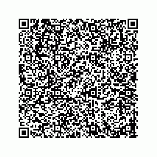 vCard 78793258271