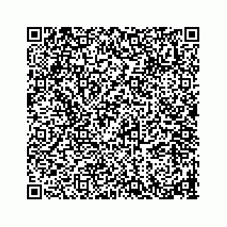 vCard 78793258274