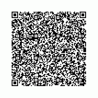 vCard 78793258281