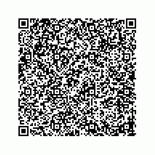 vCard 78793258291